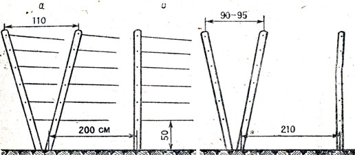 Рис. 44. Комбинированная шпалера при узких междурядьях: а - двухплоскостная наклонная; б - одноплоскостная вертикальная