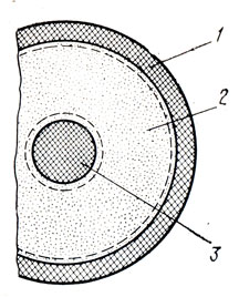 Рис. 6. Виноградная ягода в разрезе: 1 - поверхностная зона; 2 - промежуточная зона; 3 - центральная зона (сердечко)