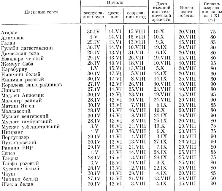 Таблица 2. Наступление важнейших фаз вегетации у разных сортов винограда (Одесса, УНИИВВ, 1951 - 1960 гг.)