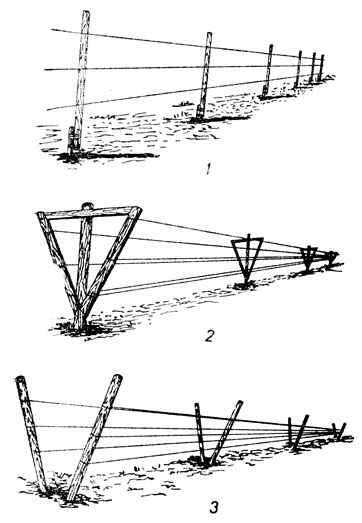 Виды шпалер: 1 - одноплоскостная трехпроволочная шпалера; 2 - двухплоскостная трехпроволочная шпалера; 3 - двухрядная наклонная трехпроволочная шпалера