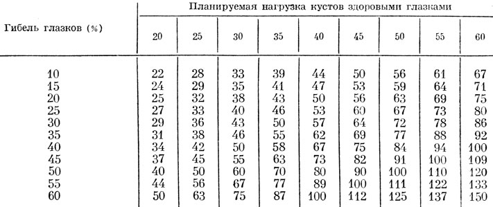 Таблица 4. Количество оставляемых на кусте глазков с учетом степени их повреждения