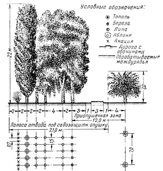 Схема устройства садозащитной лесной полосы и местоположение садовой дороги