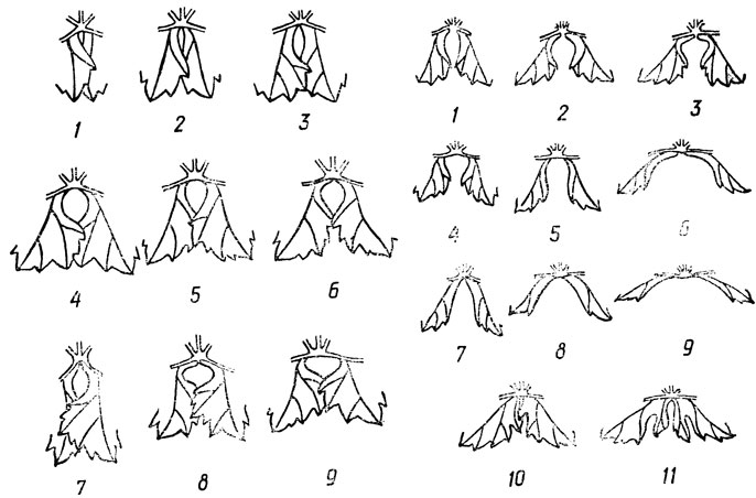 Рис. 10. Типы черешковых выемок (по М. А. Лазаревскому): Слева закрытые: 1 - почти наглухо закрытые; 2 - с просветом, щелевидные; 3 - эллиптической формы; 4 - округлой формы; 5 - яйцевидной формы; 6 - яйцевидной формы, но с острым дном; 7 - с просветом обрзтнояйцевидной формы; 8 - поперечноэллиптической формы; 9 - поперечноэллиптической формы, но с дном, ограниченным жилками. Справа открытые: лировидные; 1 - с округлым дном; 2 - с острым дном; 3 - с плоскозаостренным дном; 4 - с дном, ограниченным жилками; сводчатые; 5 - узкие, с округлым дном; 6 - широкие, с плоскозаостренным дном; стрельчатые: 7 - узкие; 8 - равносторонние; 9 - широкие; со шпорцами: 10 - с двух сторон; 11 - с двумя сложными шпорцами