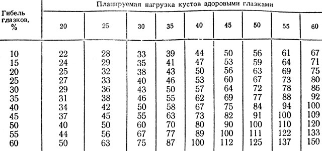 Таблица 2. Количество оставляемых на кусте глазков с учетом степени их повреждения