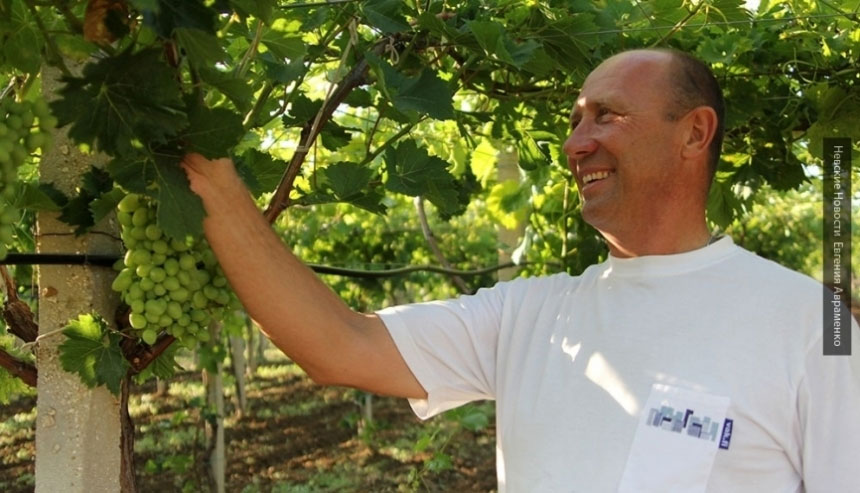Работа на крымских виноградниках